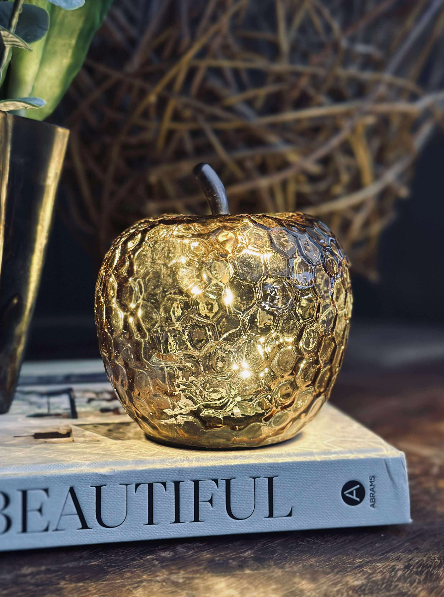 Æble Gylden - mehrere Größen