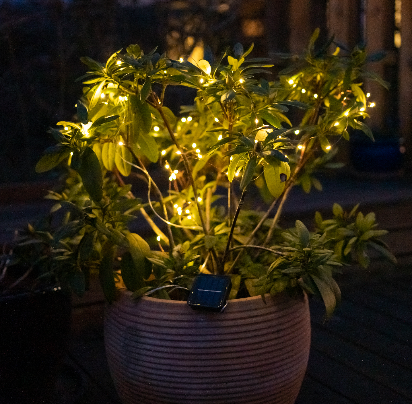 Lichterkette Marly mit Solar - 100 Lichter