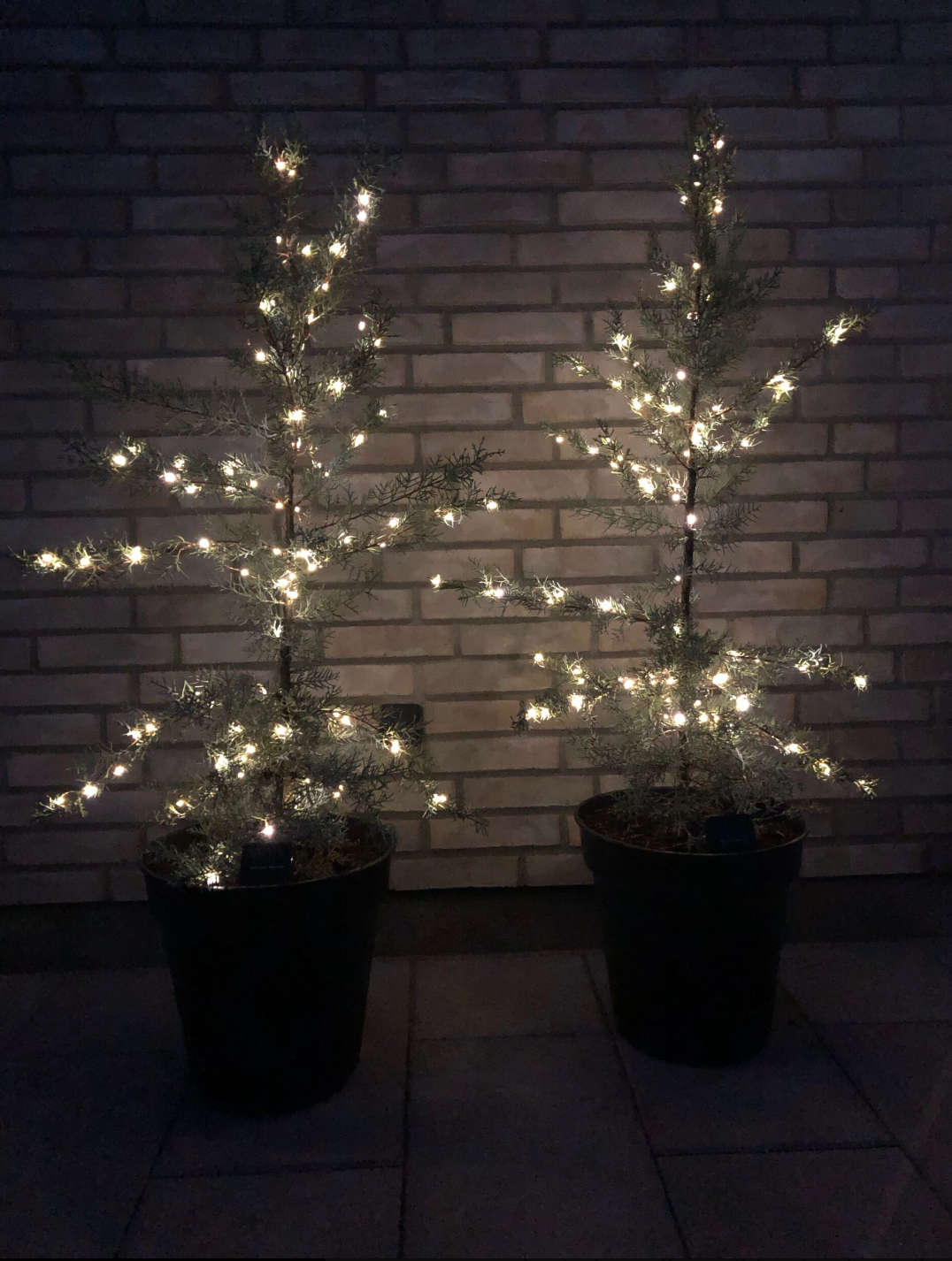 Lichterkette mit Solarzellen - 100 Lichter