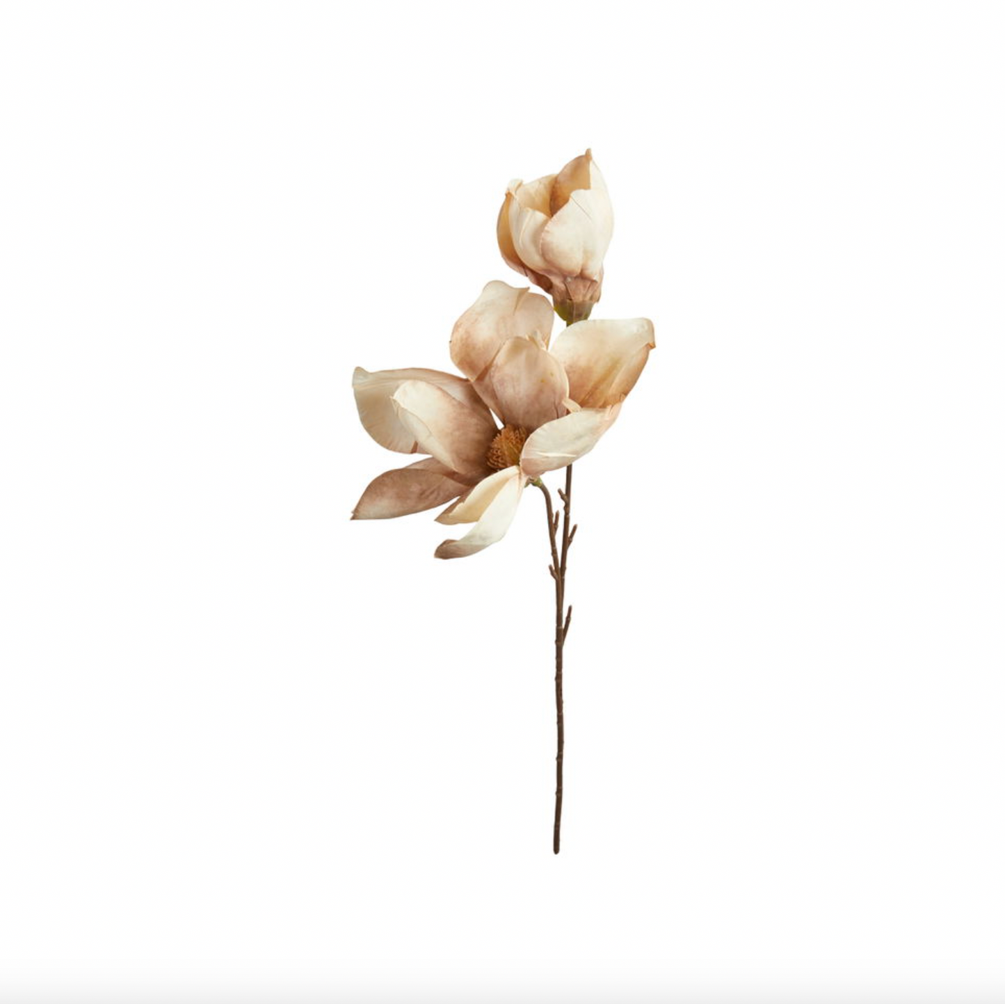 Magnolienstiel