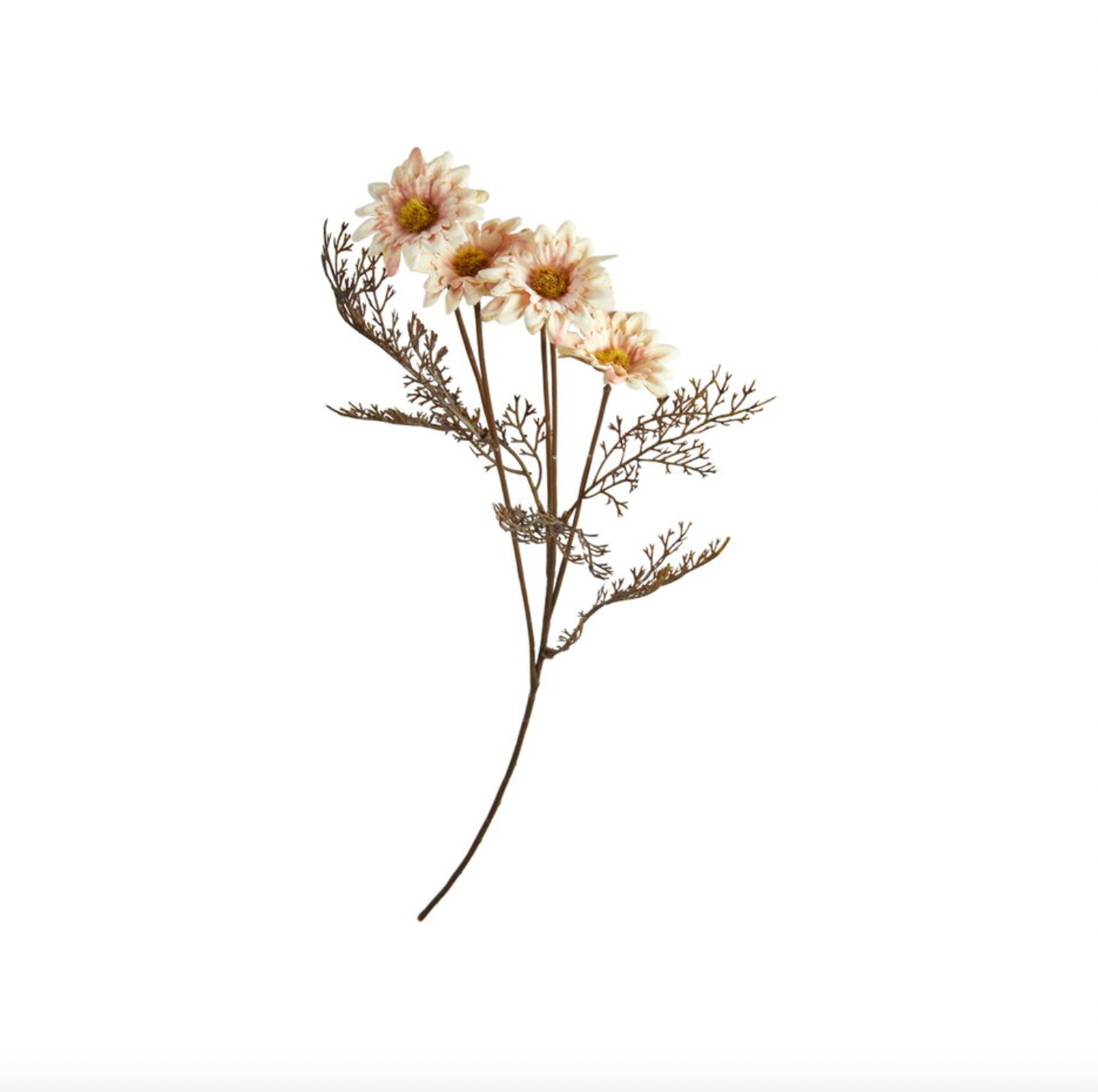 Chrysanthemenstiel