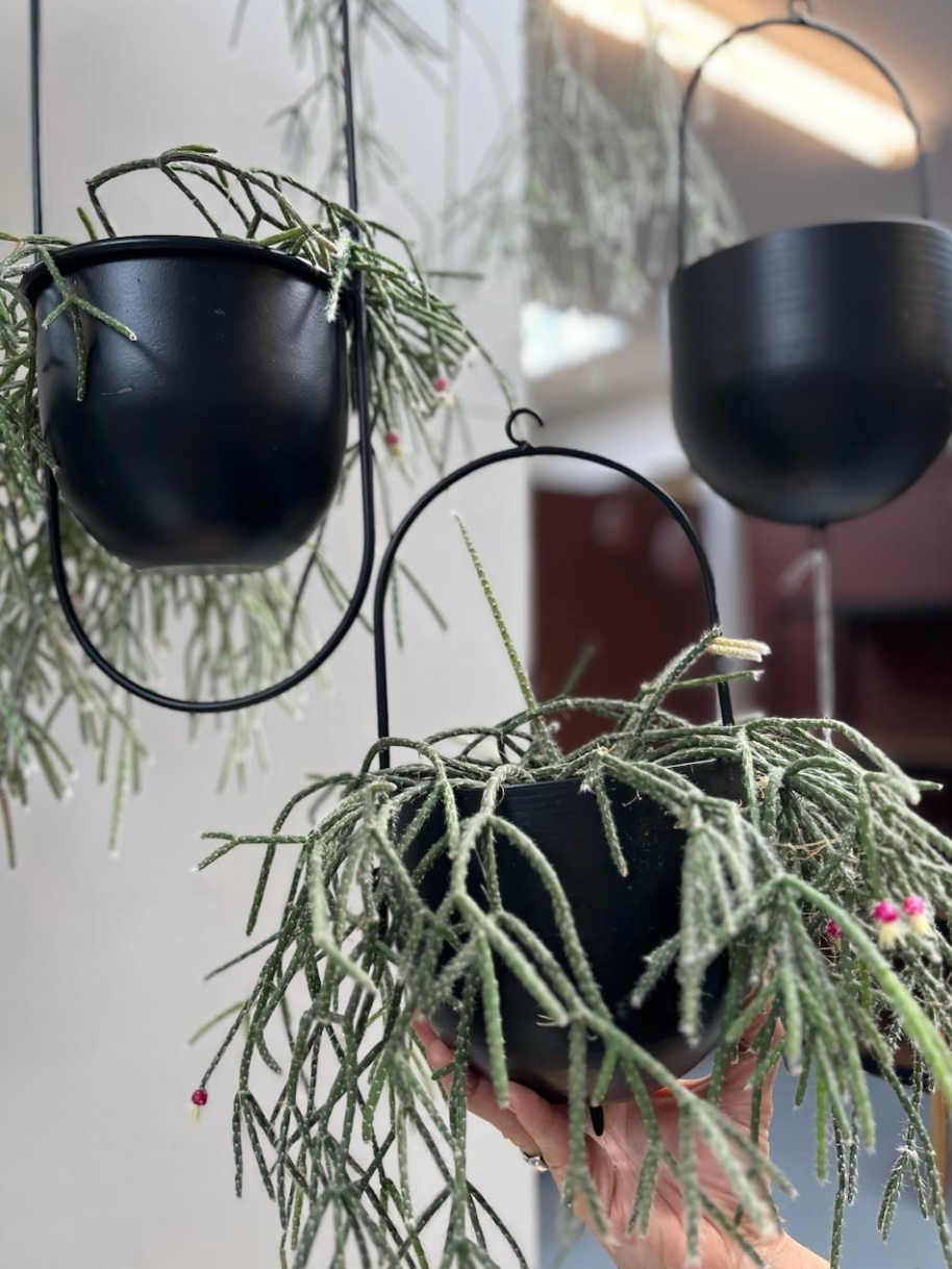 Topf mit Haken - Black