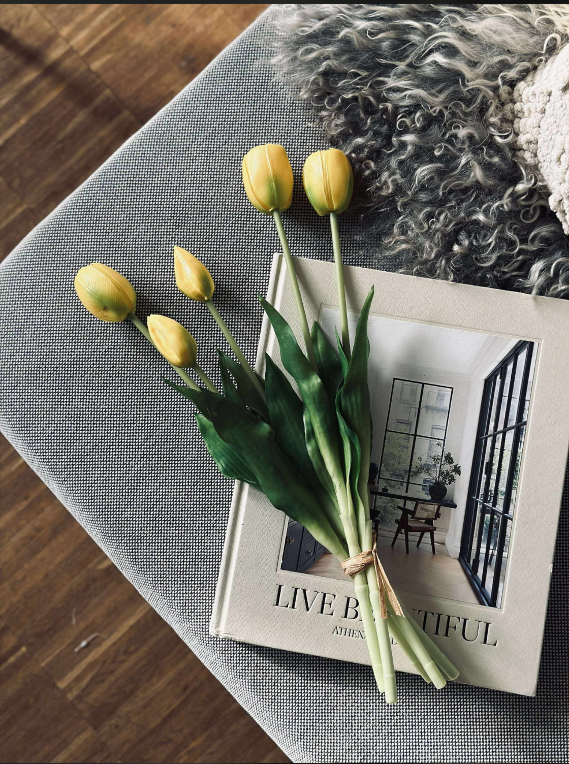 Tulpen – Mehrere Farben