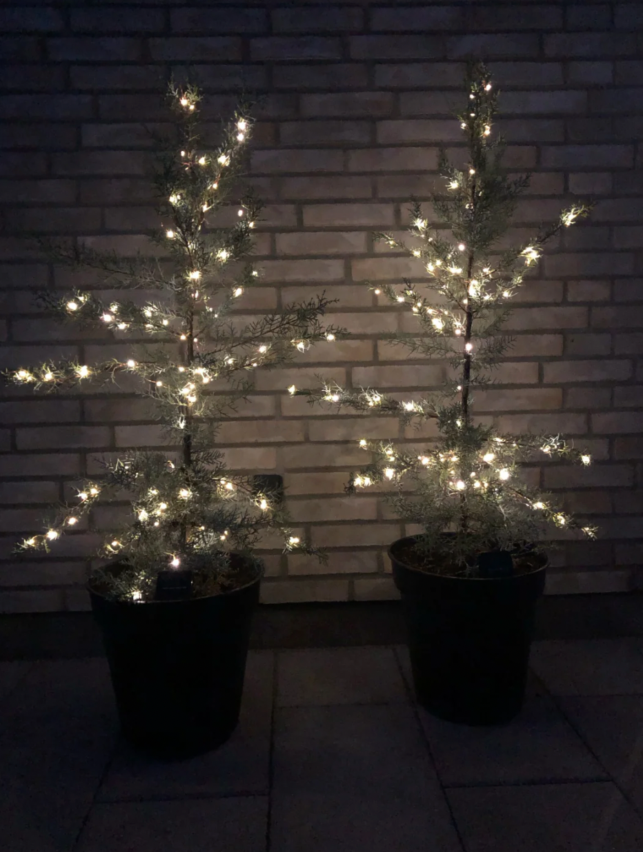 Lichterkette Marly mit Solar - 200 Lichter