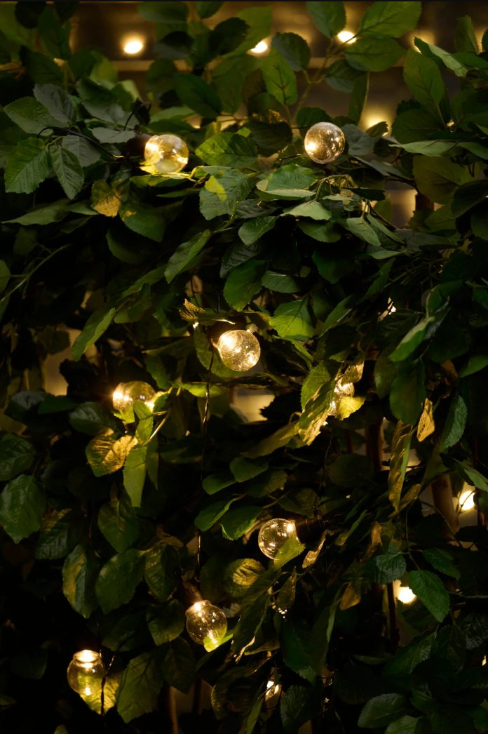 Lichterkette Sasline mit Solarmodul