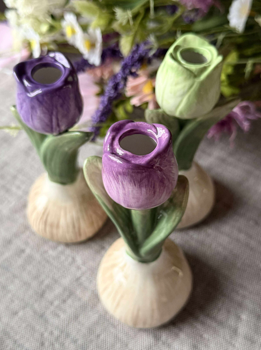 Tulpenzwiebeln - 7 Farben