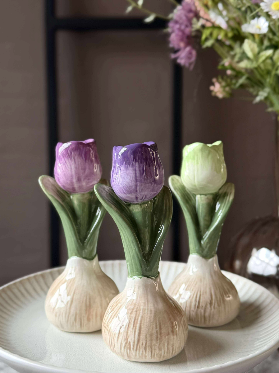 Tulpenzwiebeln - 7 Farben