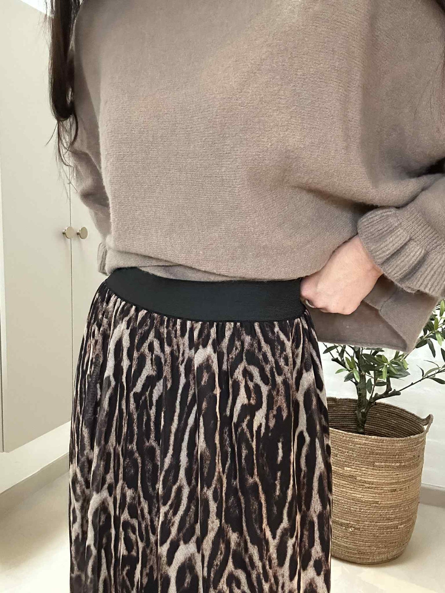 Rock Leo Mesh