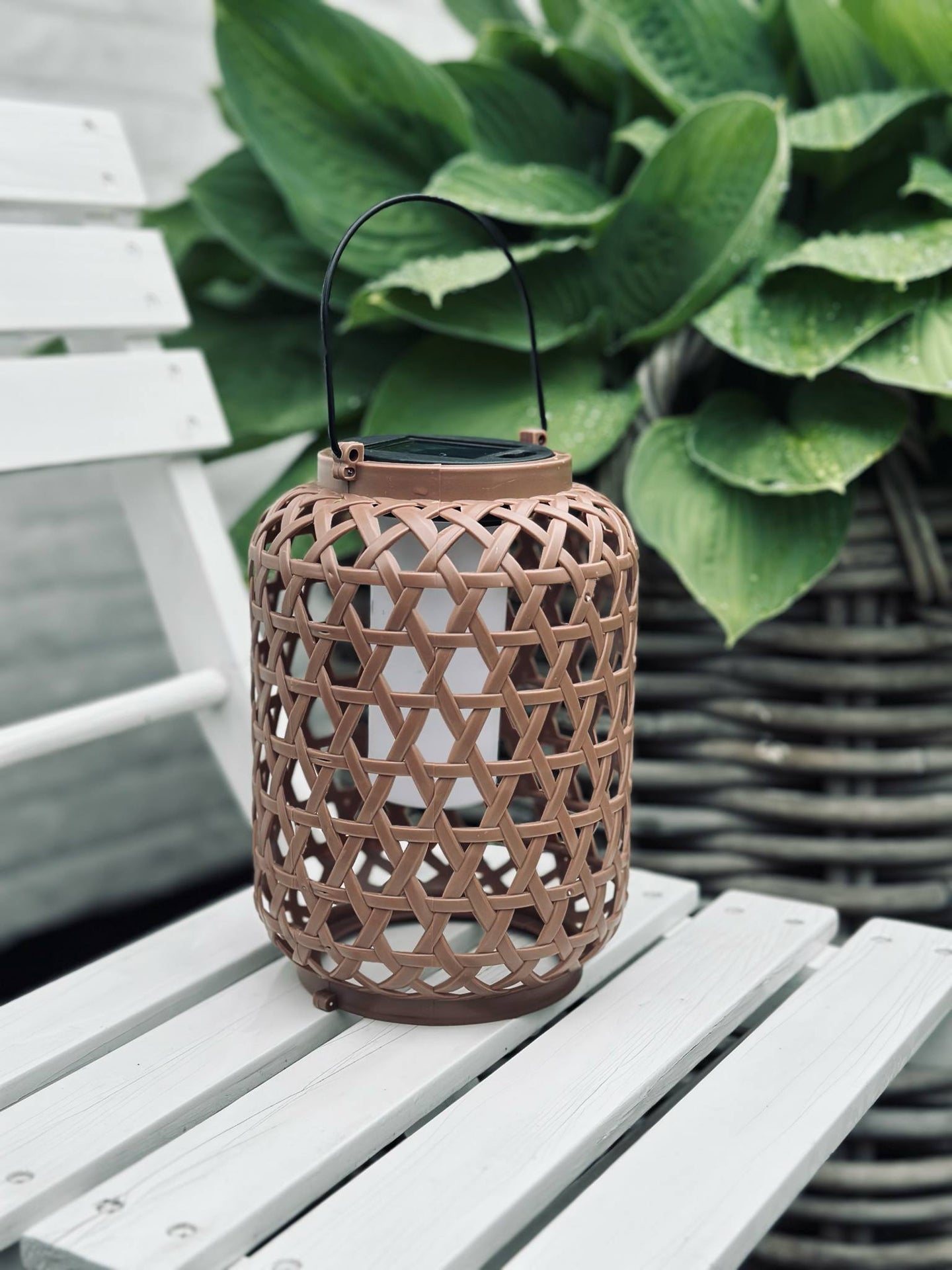 Laterne GINNY - Mehrere Farboptionen