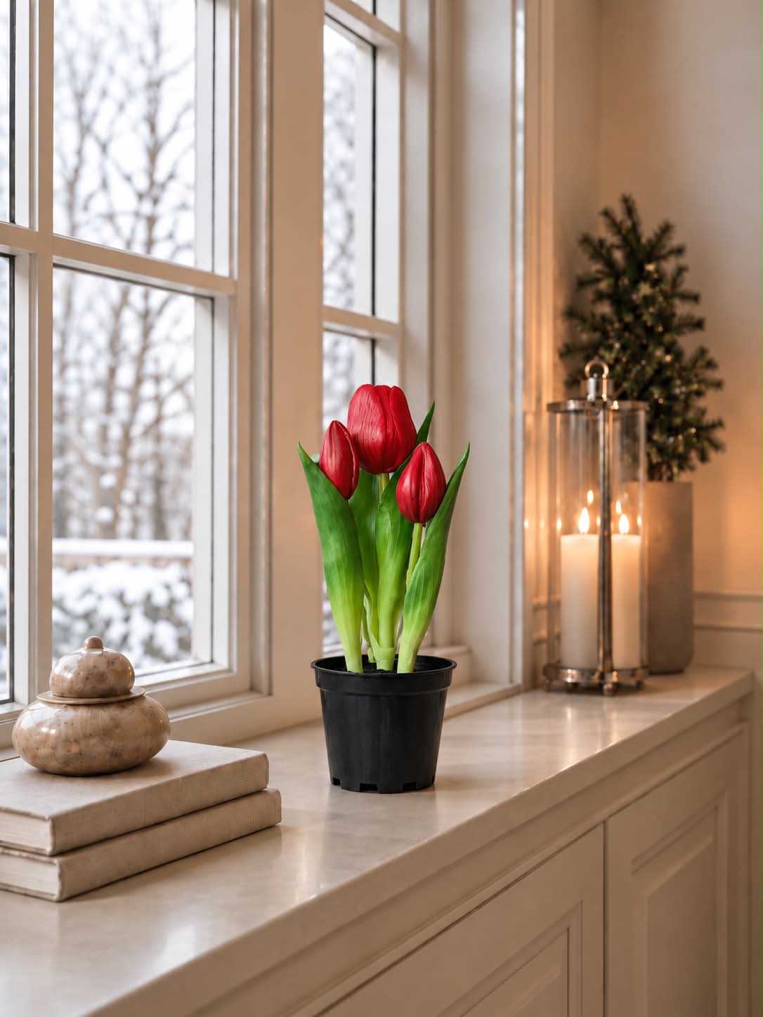 Tulpe im Topf - Rot mit 3 Blüten