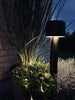 Beetlampe mit Solarzellen