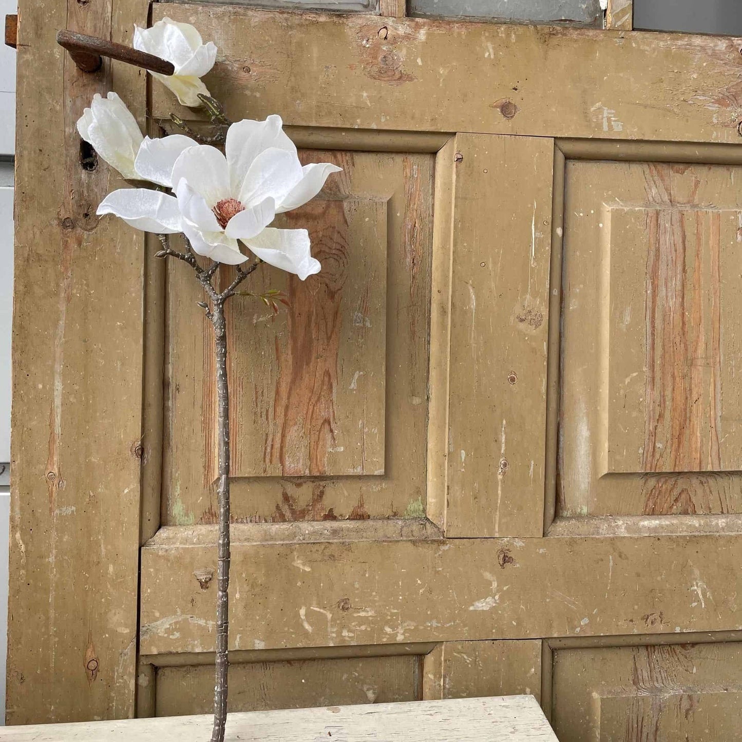 Blomst Magnolia - Hvid - VIAMAJA.DK