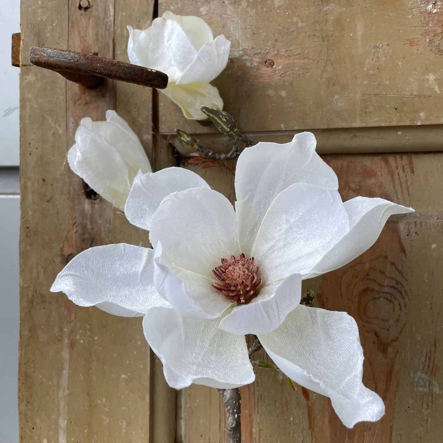 Blomst Magnolia - Hvid - VIAMAJA.DK