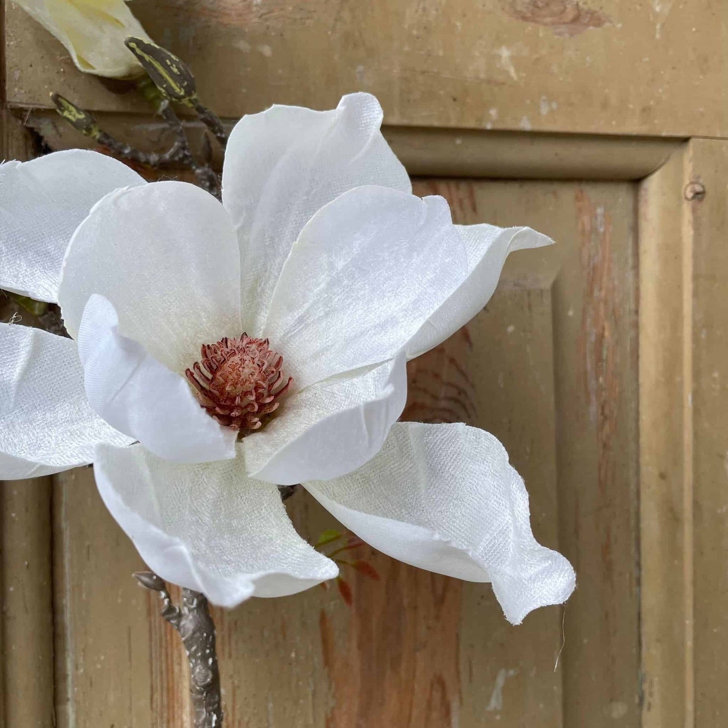 Blomst Magnolia - Hvid - VIAMAJA.DK