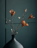 Blume, Magnolie, Braun