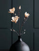 Blume, Magnolie, Off-white