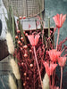 Blumen-Mix-Kisten - Natur / Pink