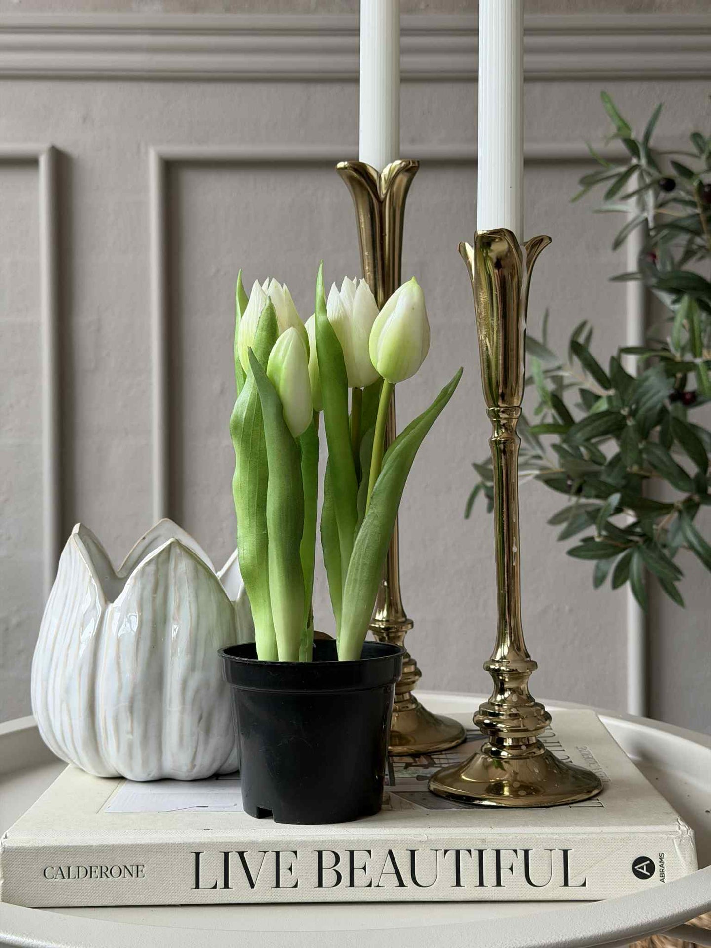 Tulpe im Topf - Weiß