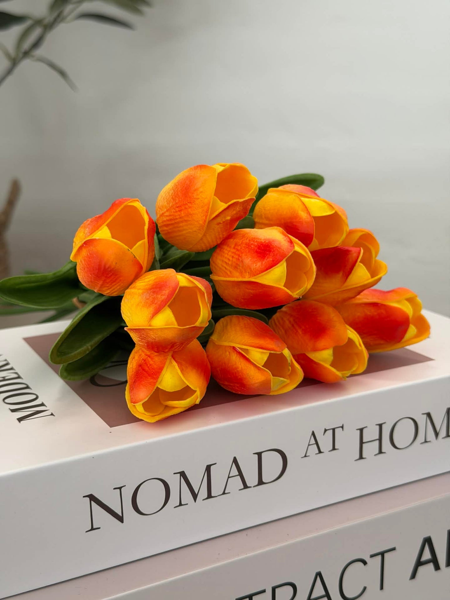 Tulpen 10 Stück – Mehrere Farben