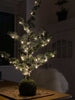 Zeder mit Lichterkette 65 cm