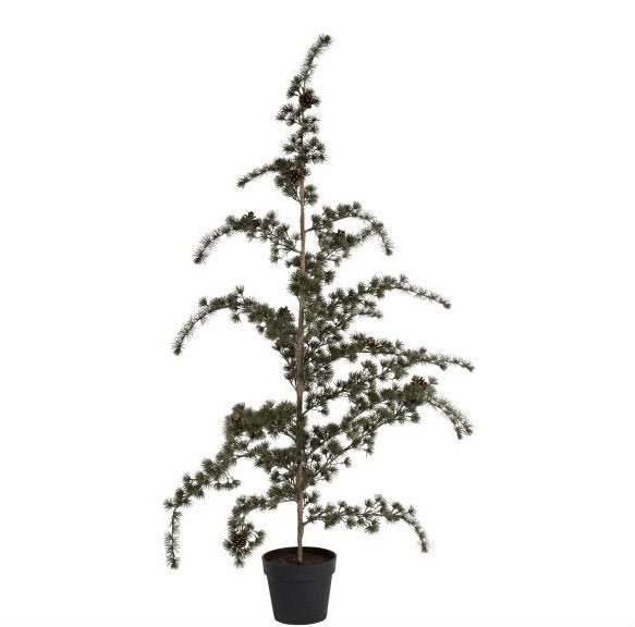 Cedertræ med potte - Grøn 150cm - VIAMAJA