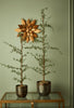 Zedernbaum mit Moos H95cm