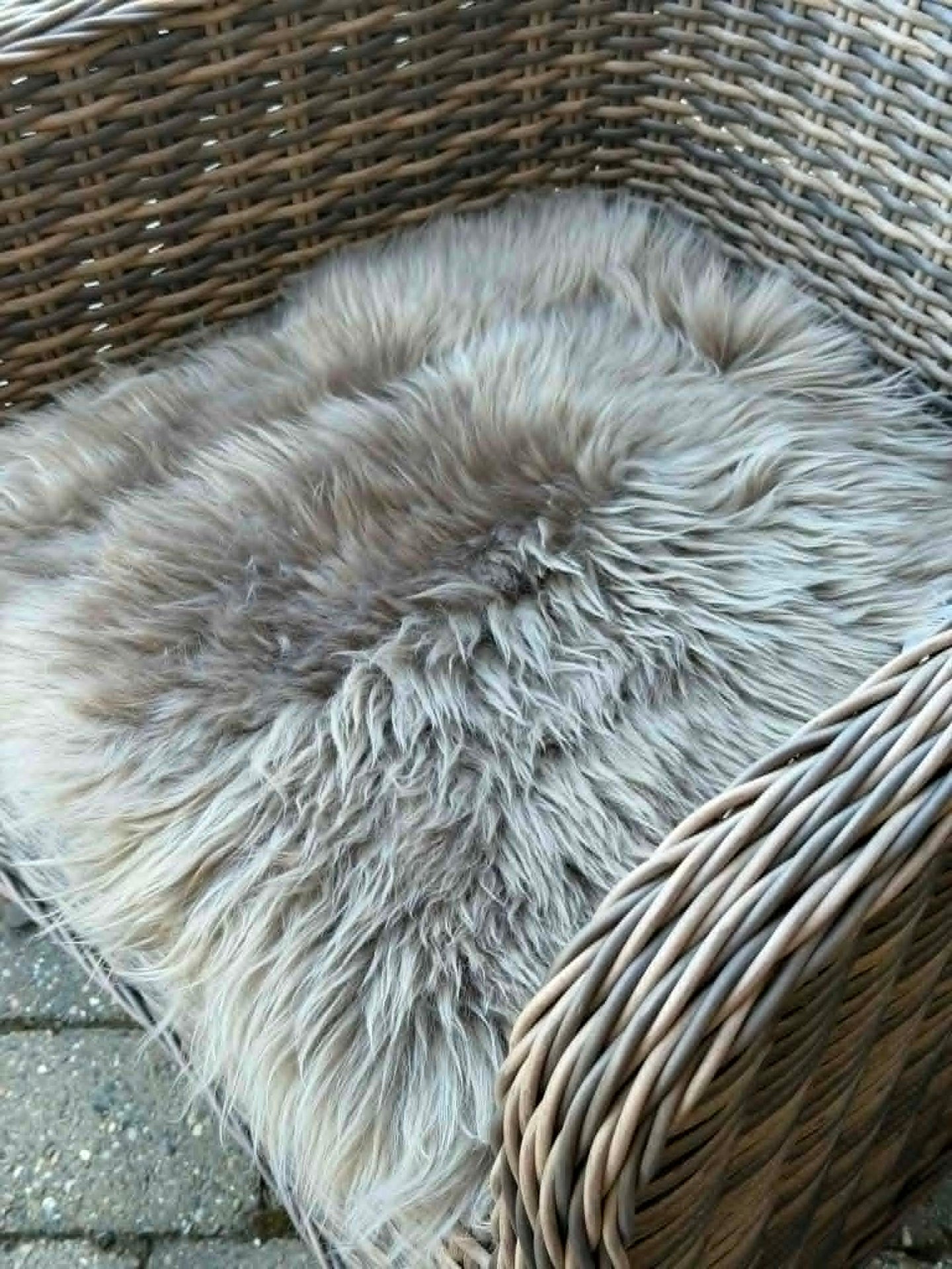 Sitzfell - Beige 40x40