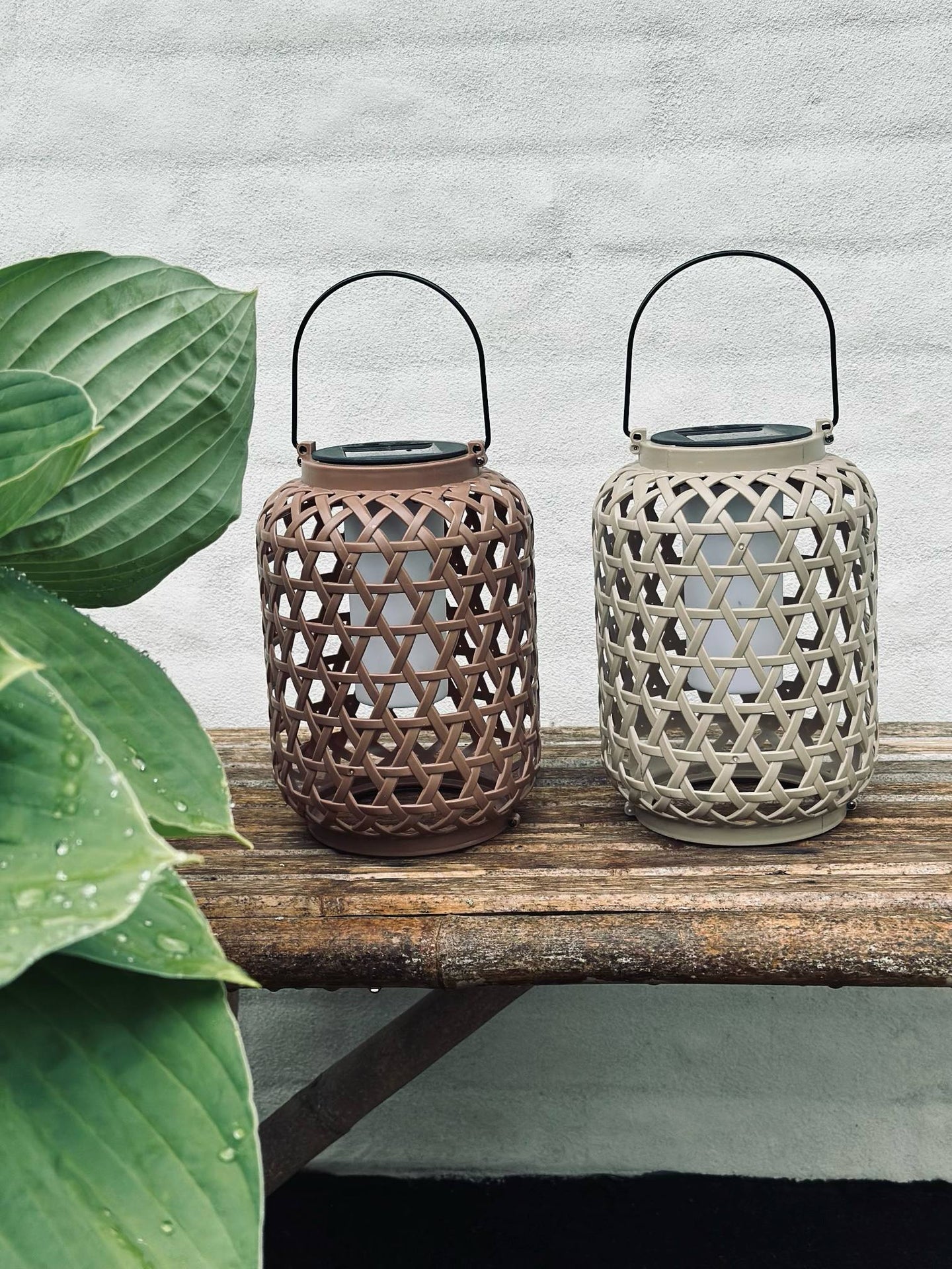 Laterne GINNY - Mehrere Farboptionen