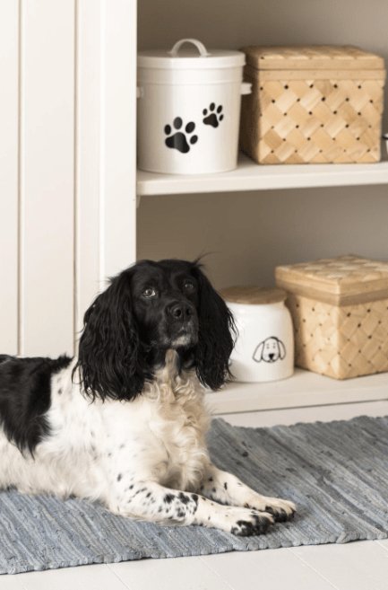 Dåse til hundemad hvid m/hundemotiv og trælåg 2,2 liter - VIAMAJA.DK