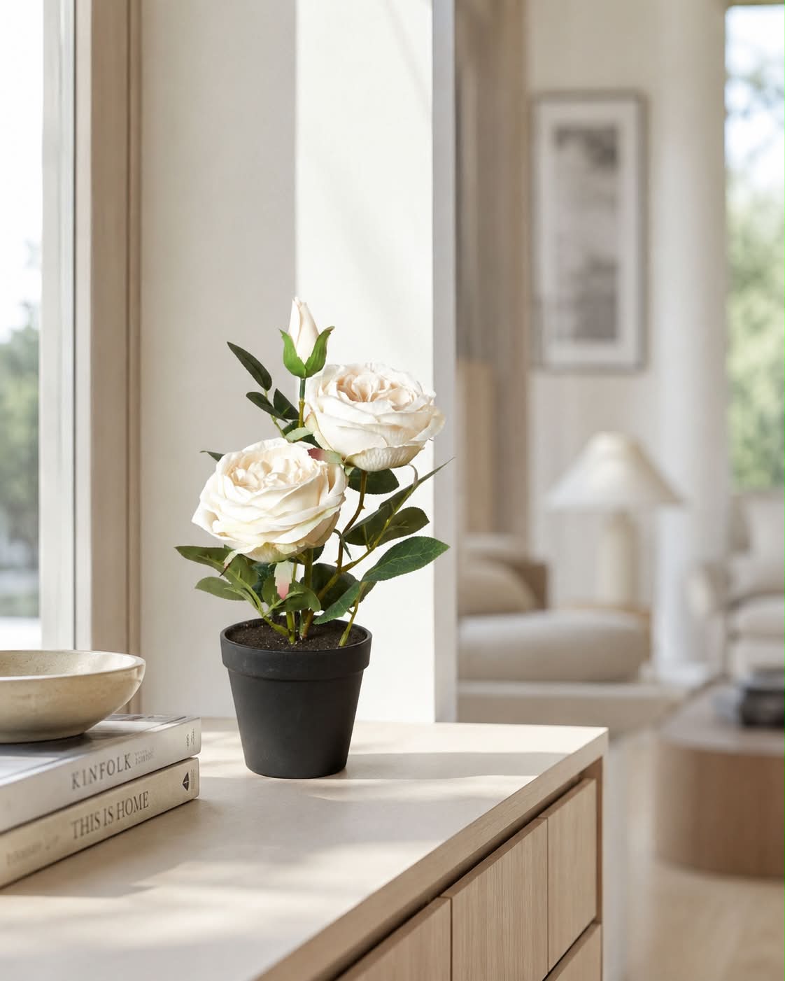 Rose im Topf - Weiß