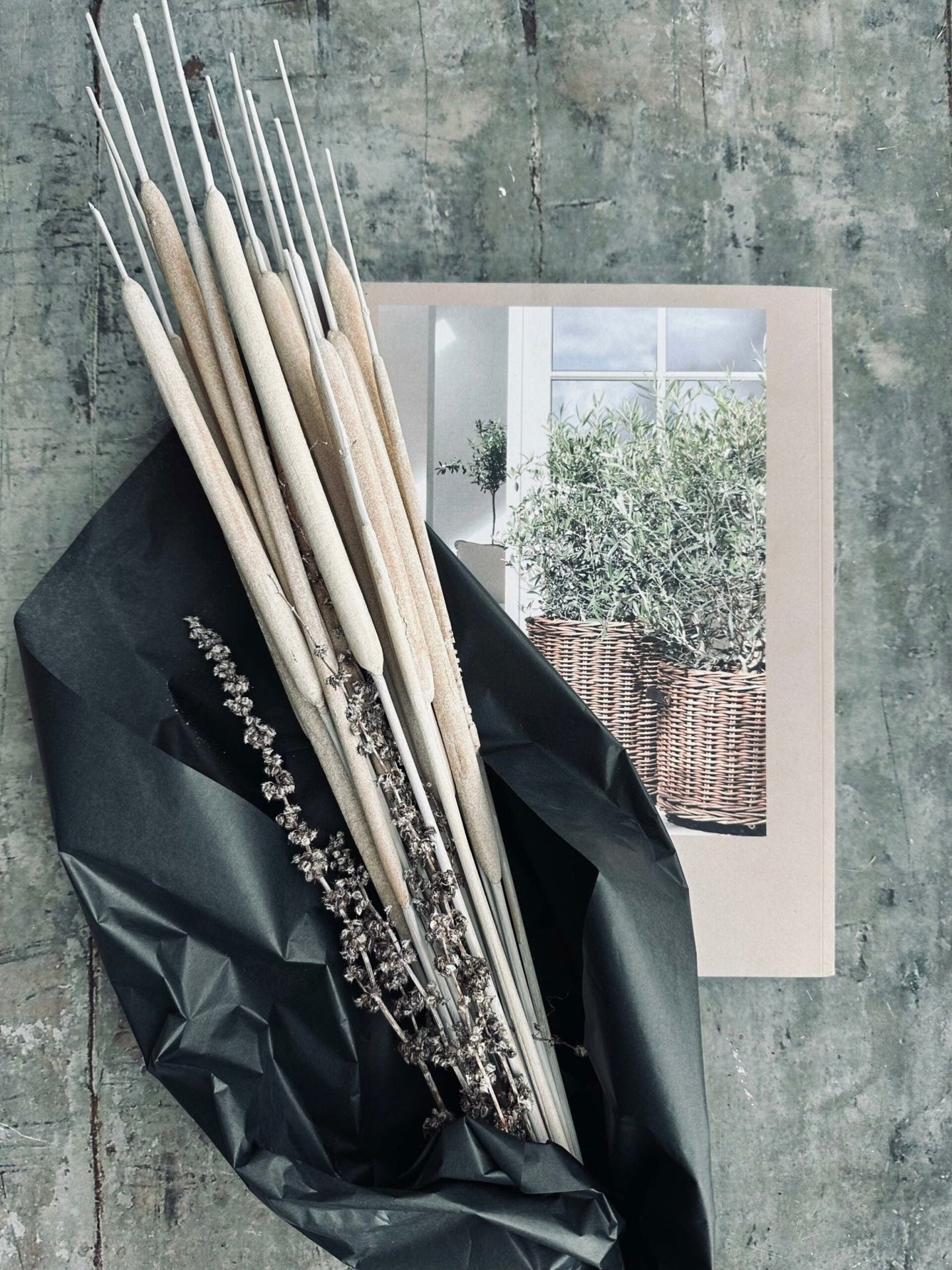 Dunhammer slim lys natur - VIAMAJA.DK