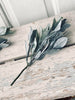 Eukalyptus-Stiel - 30 cm
