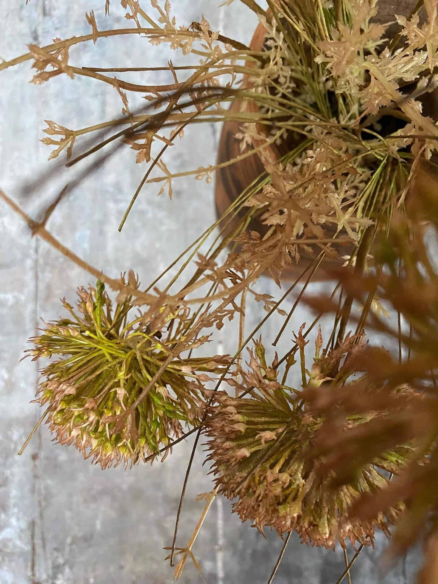 Evighedsblomst – Stilk 60cm Pom - VIAMAJA.DK