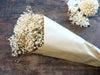 Ewigkeitsstrauß - getrocknetes Schleierkraut