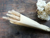 Ewiger Blumenstrauß - Getrocknetes Pampasgras
