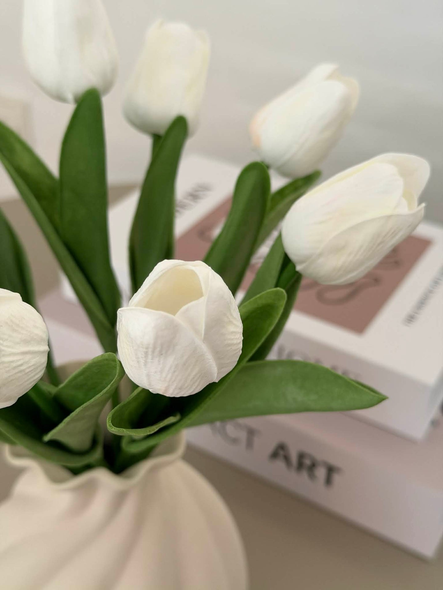 Tulpen 10 Stück – Mehrere Farben