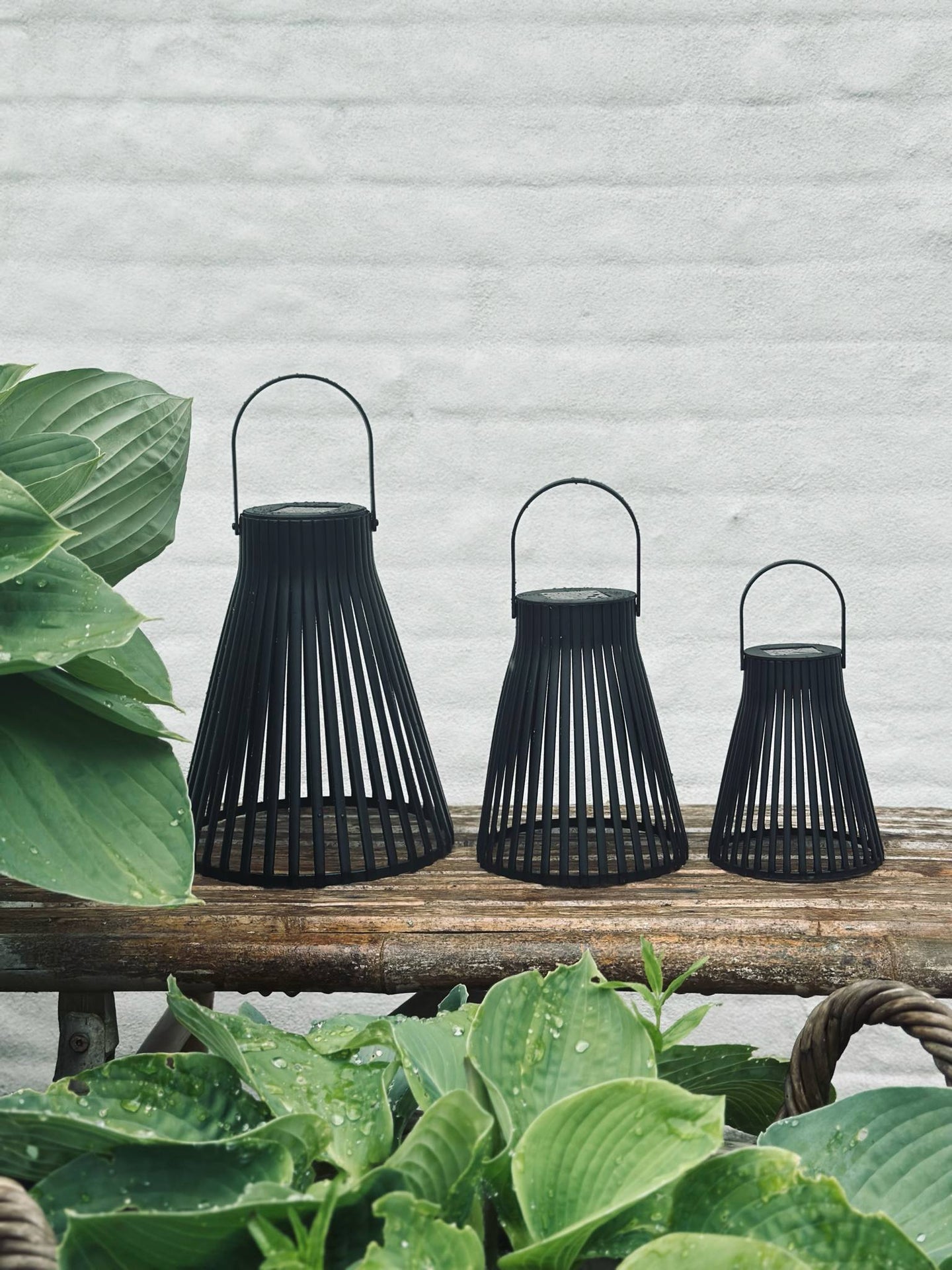Laterne mit Solarzellen - GARDEN BLACK 24 cm