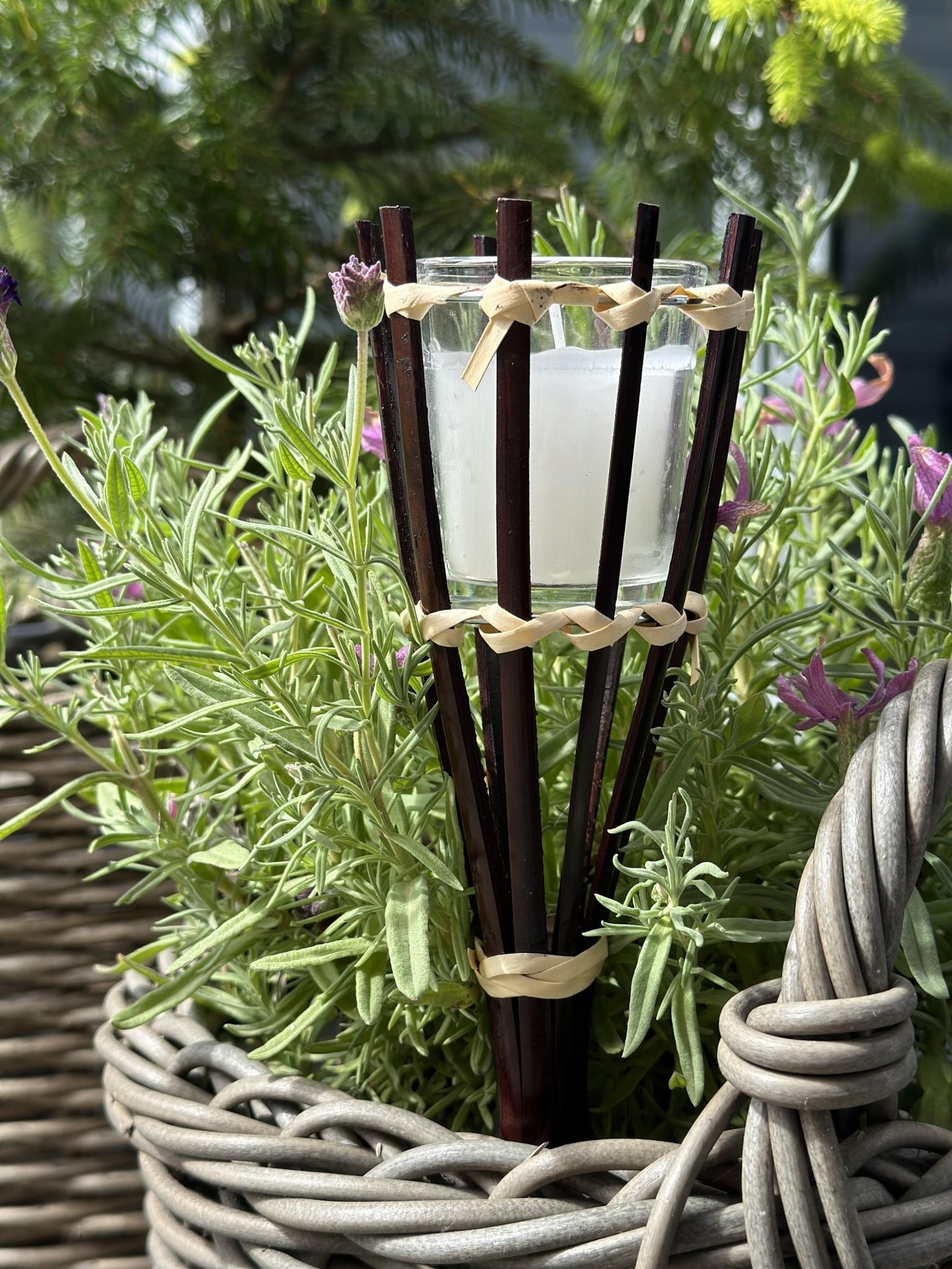 Fakkel citronella - VIAMAJA.DK