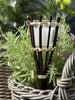Citronella-Fackel