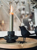 Schwarzer Vogel