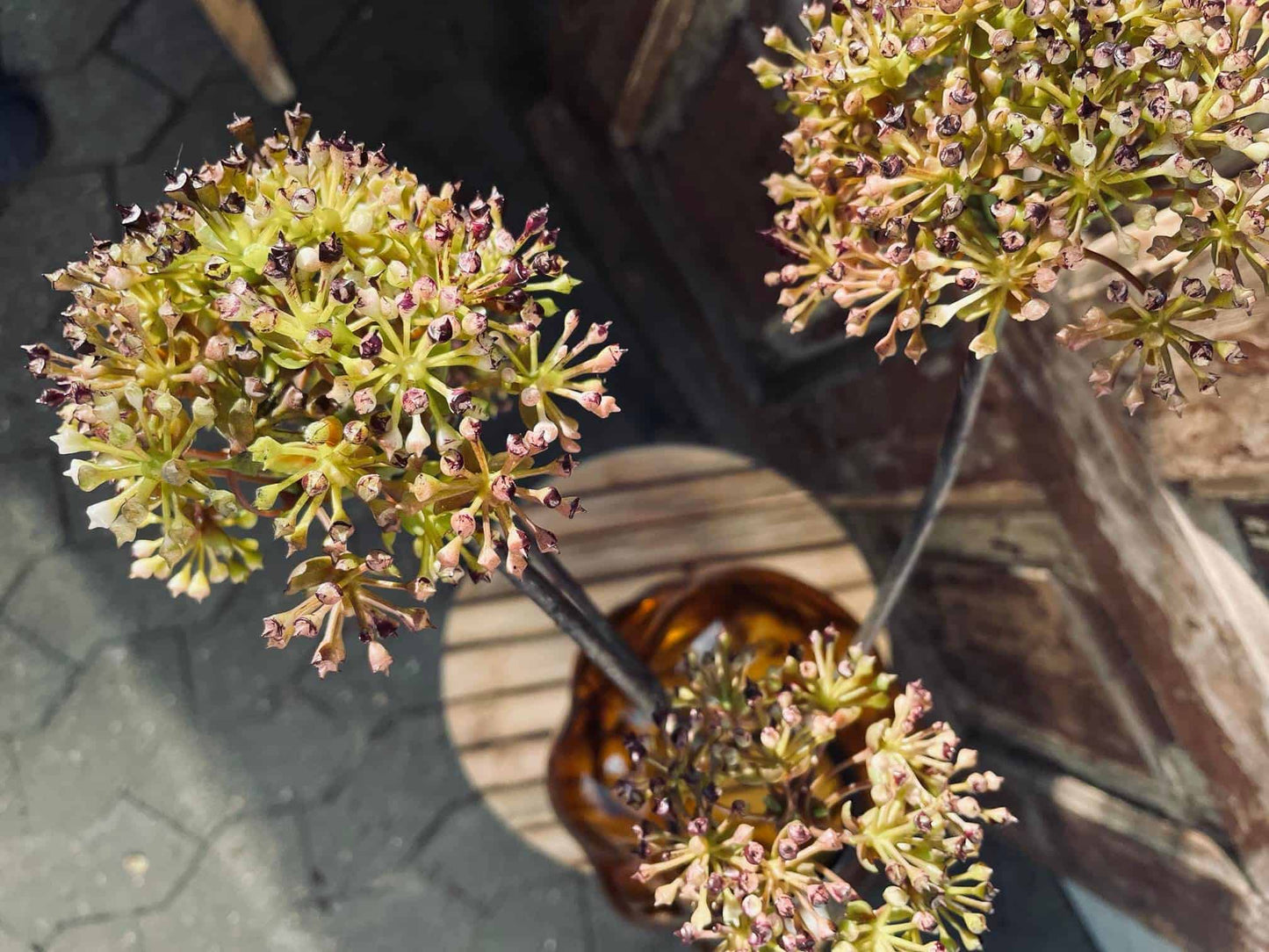 Gren med 2 blomster - VIAMAJA.DK