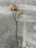Zweig mit 2 Blüten
