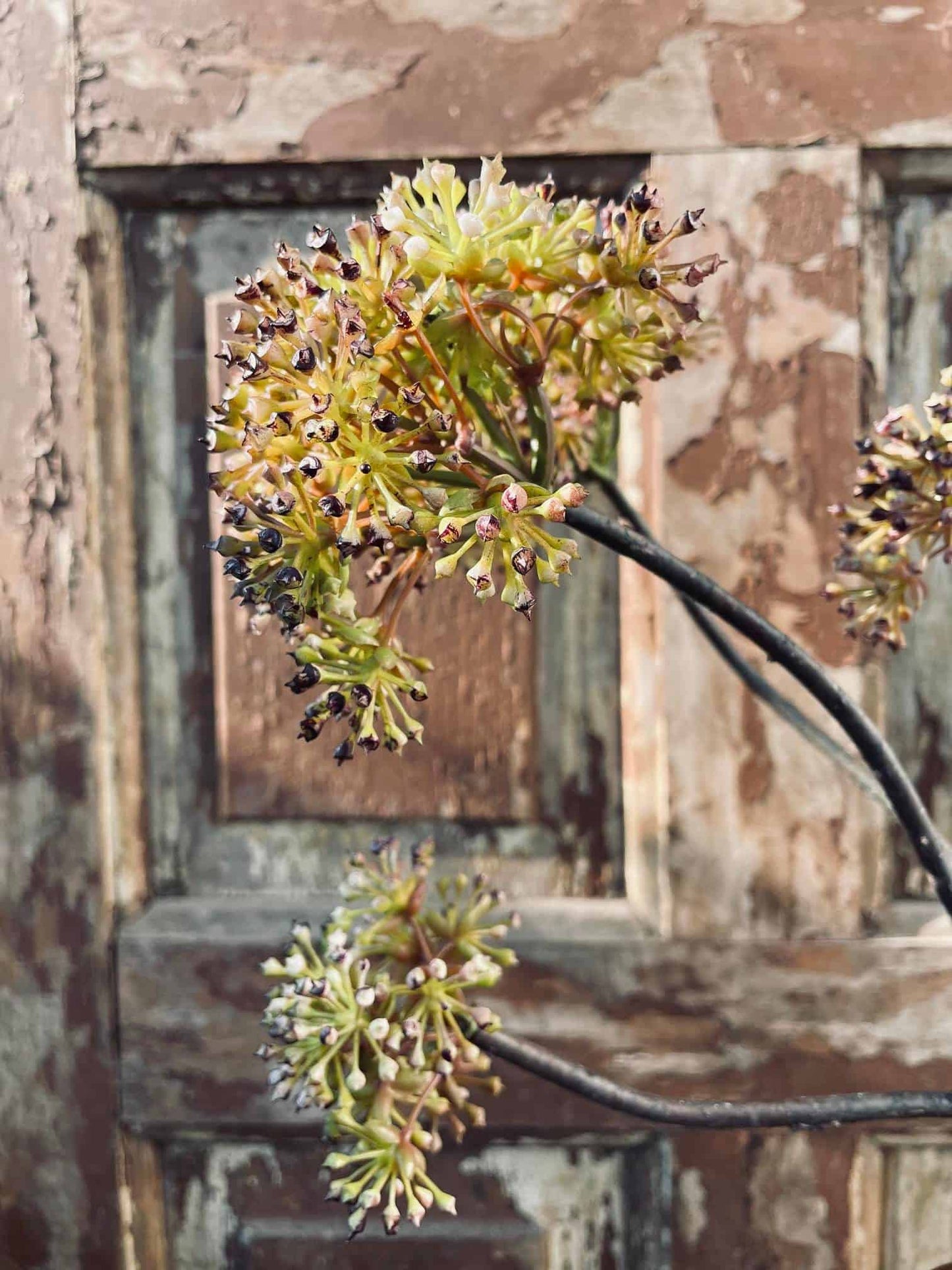 Gren med 2 blomster - VIAMAJA.DK