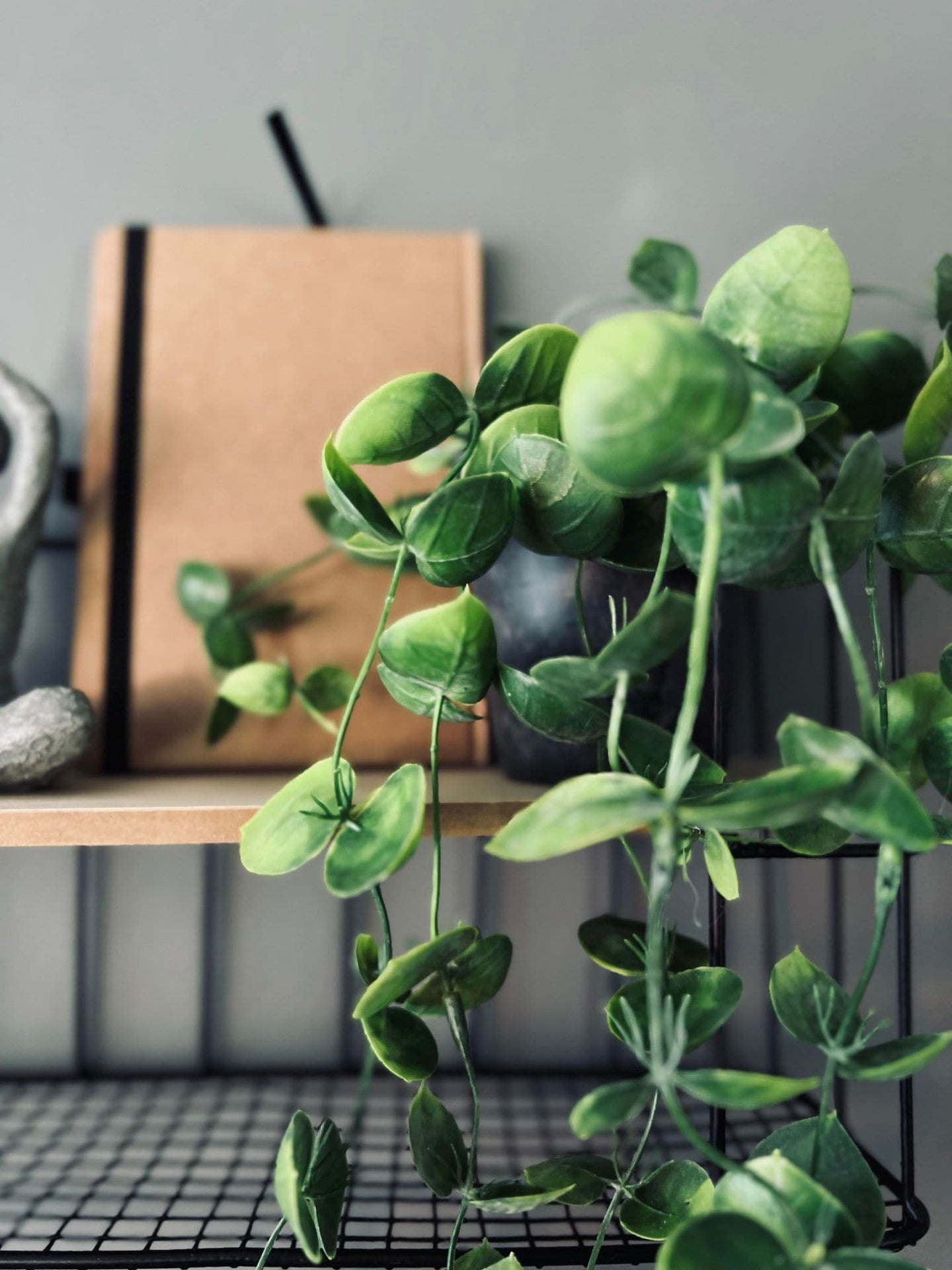 Hængeplante - Fresh green - VIAMAJA.DK