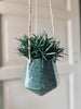 Hängeblumentopf in gedämpftem Grün