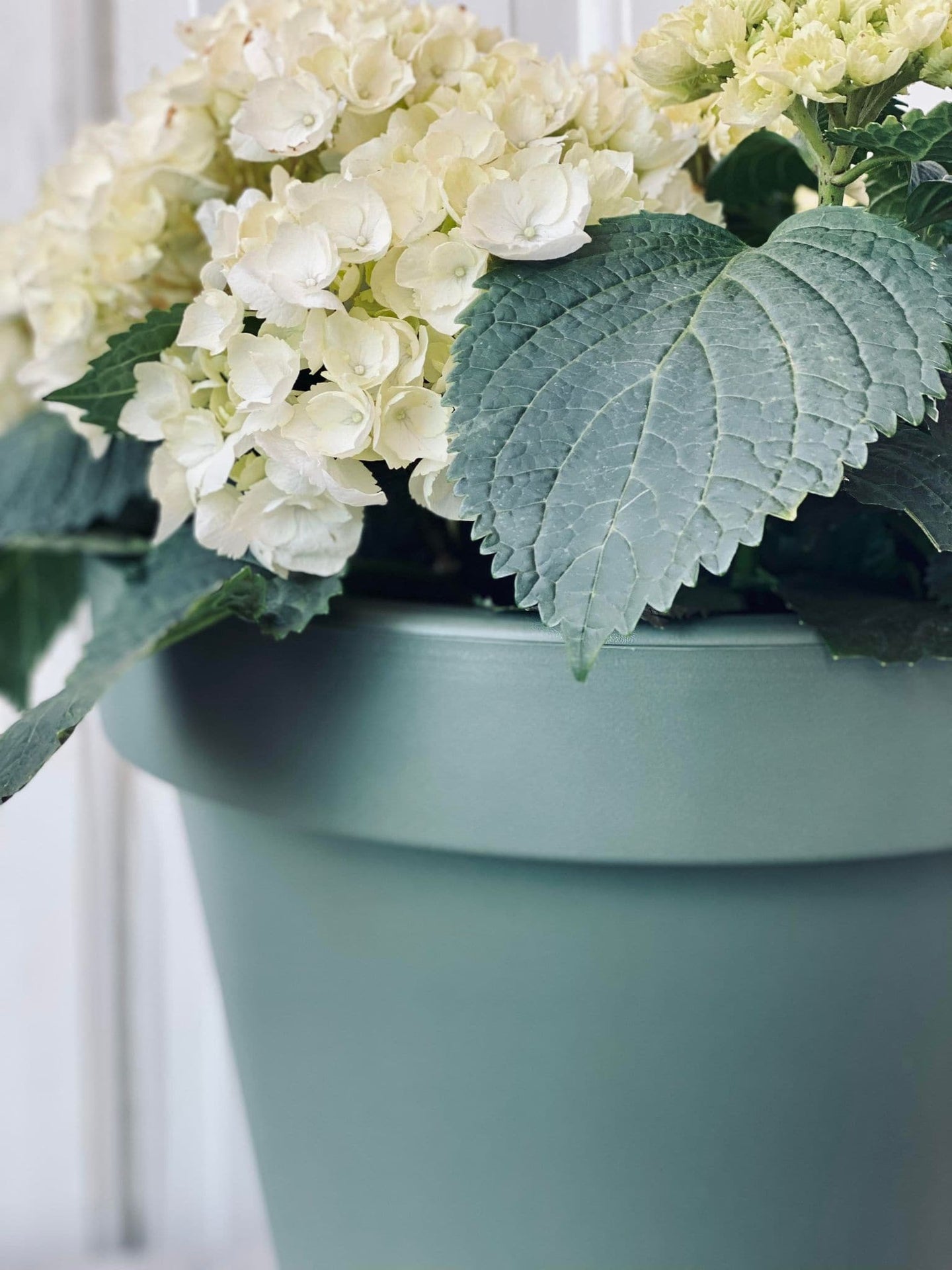 Havekrukke i recycling plast 35 cm - grøn - VIAMAJA.DK