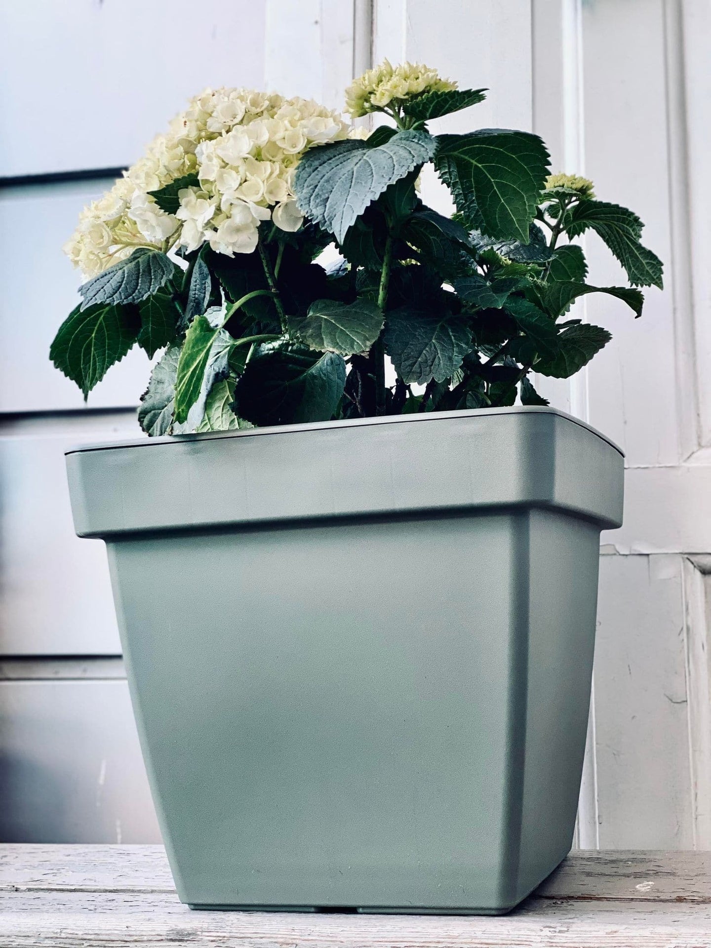 Havekrukke SQUARE - Recycling Grøn - VIAMAJA.DK