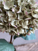 Hortensie mit Blättern H80cm