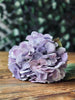 Hortensie Lila
