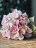 Hortensie Rosa